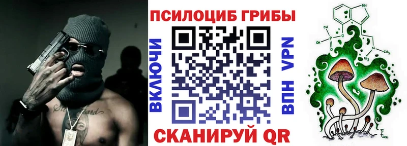 хочу наркоту  Уссурийск  Псилоцибиновые грибы прущие грибы 